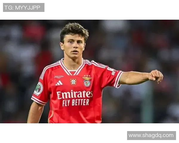 若昂内维斯的足球之路：从青训到职业生涯的辉煌历程