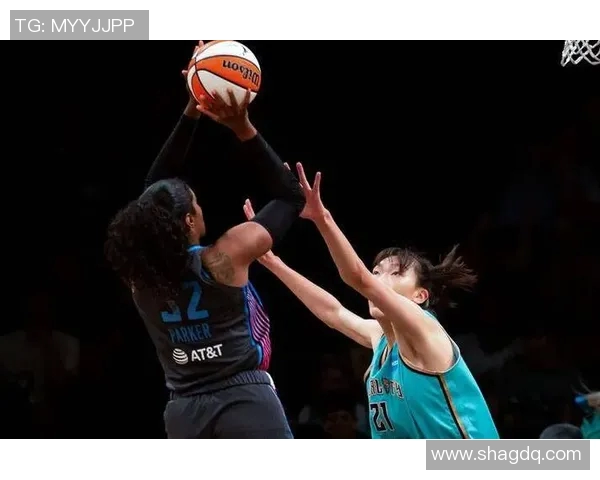 2014年尼克斯与山猫激战回顾球员表现与比赛亮点全解析