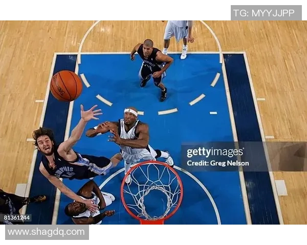 2017年12月31日NBA灰熊对战精彩回顾与赛后分析