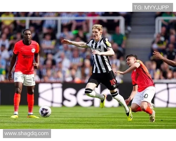 德乙汉堡主场迎战菲尔特力争胜利全力争夺积分榜优势 德乙汉堡主场迎战菲尔特力争胜利全力争夺积分榜优势