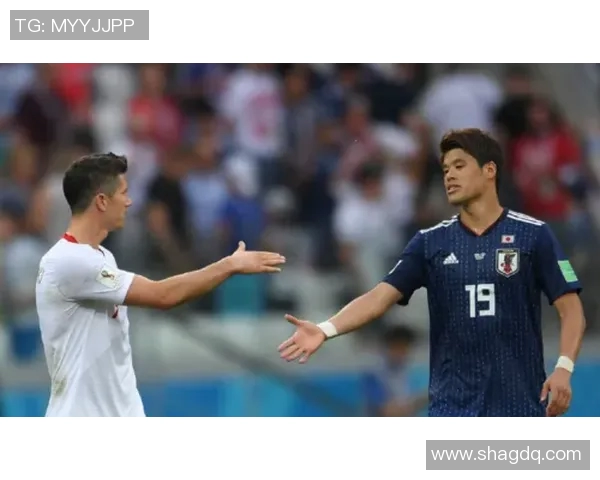 日本对阵波兰的澳盘分析与投注建议全面解读