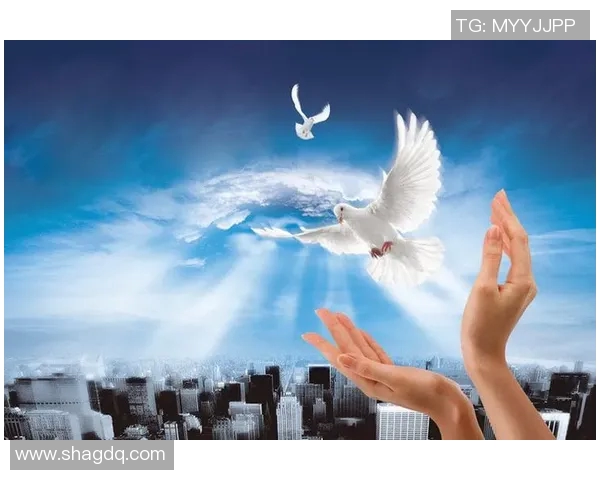 朱旭航的成长之路：从平凡到卓越的奋斗故事与人生启示