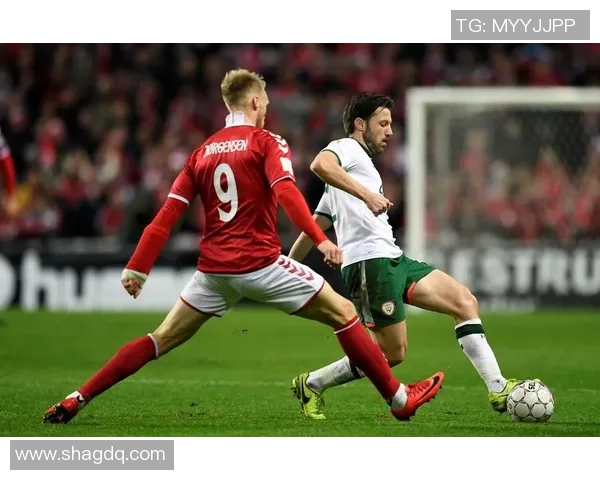 爱尔兰与丹麦足球对决竞彩推荐分析及投注策略分享