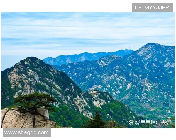 河南与山东景区大比拼谁更具魅力与吸引力探寻两地旅游的独特风景与文化