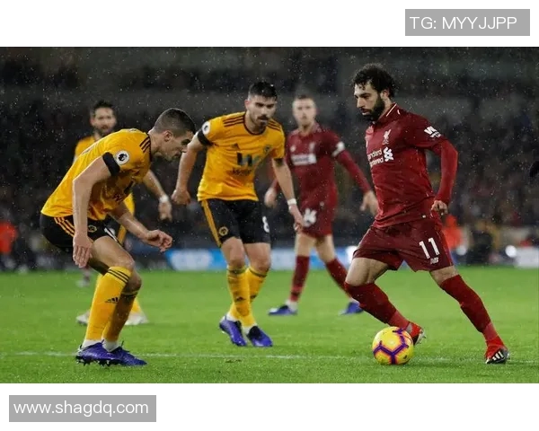 狼队对阵谢斯伯利激战正酣球迷期待精彩进球与战术较量 狼队对阵谢斯伯利激战正酣球迷期待精彩进球与战术较量