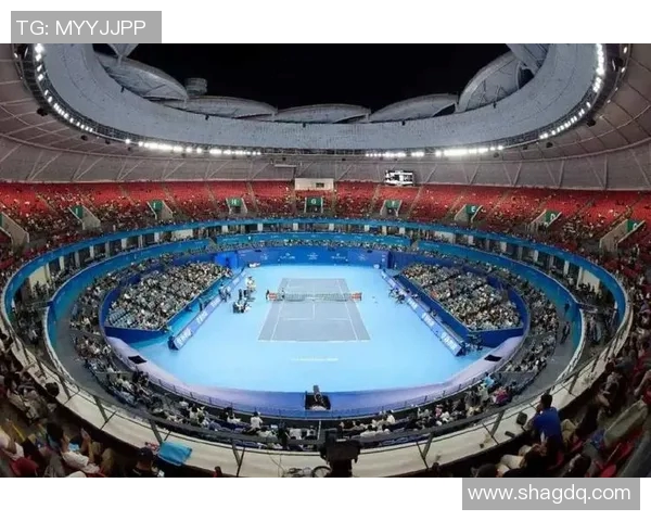 杭州网球队的崛起与发展探秘聚焦团队力量与个人潜能的结合MBA