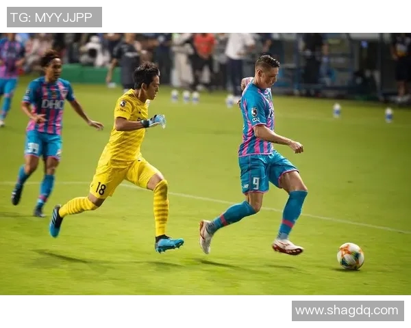 鸟栖沙岩对决扎幌直播精彩瞬间回顾与赛后分析