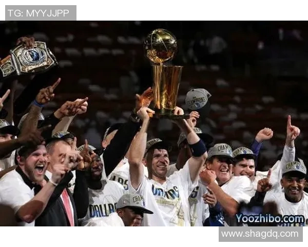 2012年NBA总决赛热火与小牛的巅峰对决与历史意义分析 2012年NBA总决赛热火与小牛的巅峰对决与历史意义分析