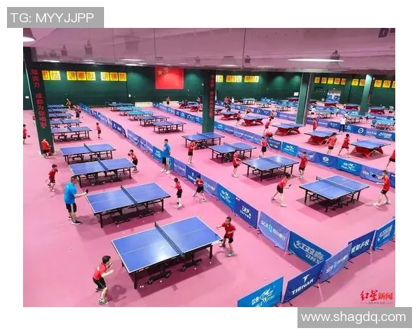 成都乒乓球队耐力对比深度解析与训练策略探讨 成都乒乓球队耐力对比深度解析与训练策略探讨