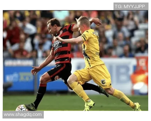 惠灵顿凤凰迎战布里斯班狮吼期待精彩对决与激烈碰撞