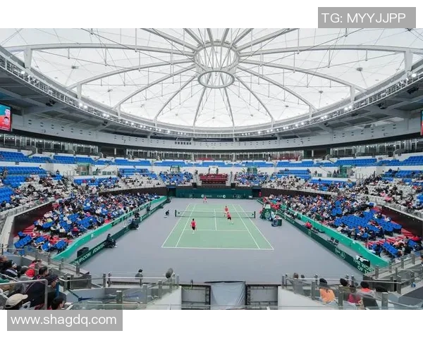 杭州网球队的精神探索与网球文化的深度融合之旅MBA 杭州网球队的精神探索与网球文化的深度融合之旅MBA