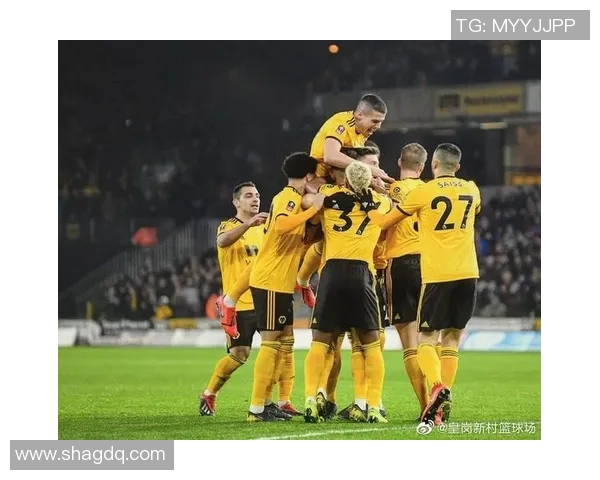 纽卡素主场迎战狼队期待精彩对决双方争夺英超积分榜重要位置 纽卡素主场迎战狼队期待精彩对决双方争夺英超积分榜重要位置