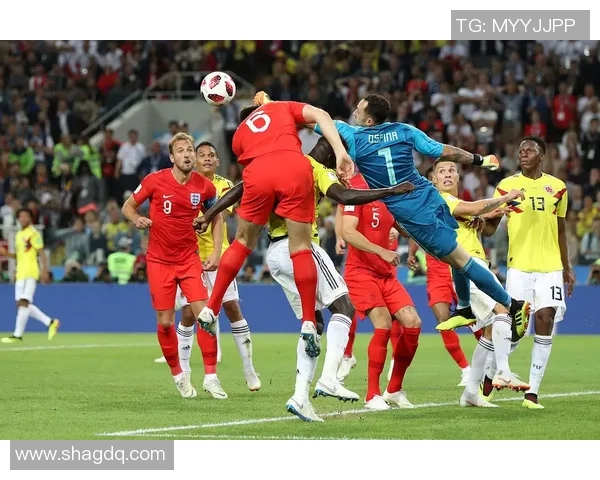 荷兰与捷克足球历史交锋战绩回顾及分析