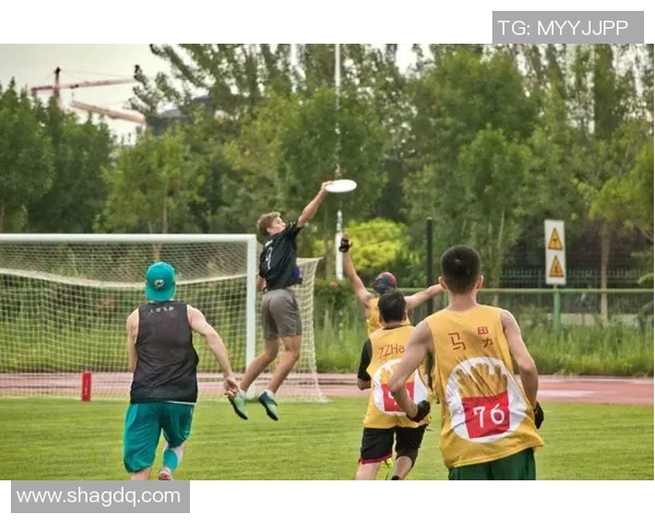 飞盘竞技之美：深入解析上海飞盘队的战术与技术创新