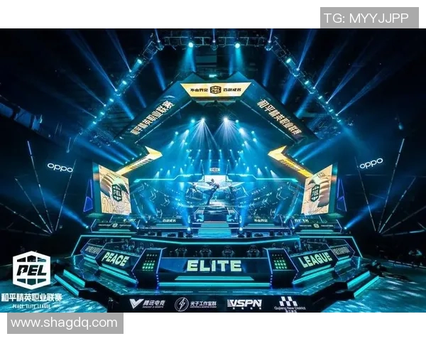 和平精英战术解析：深入探讨BLG战队的快速进攻策略与执行细节