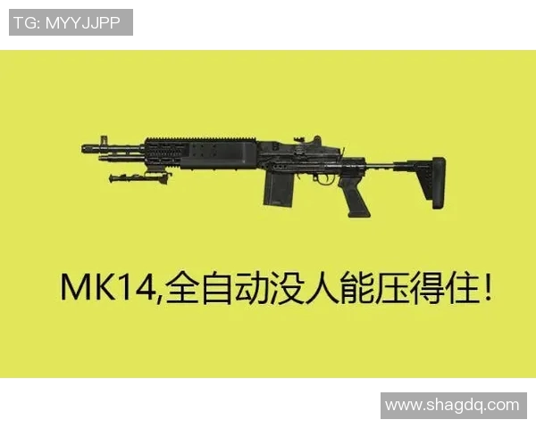 专访杨强：探寻和平精英成功背后的秘密与未来发展方向