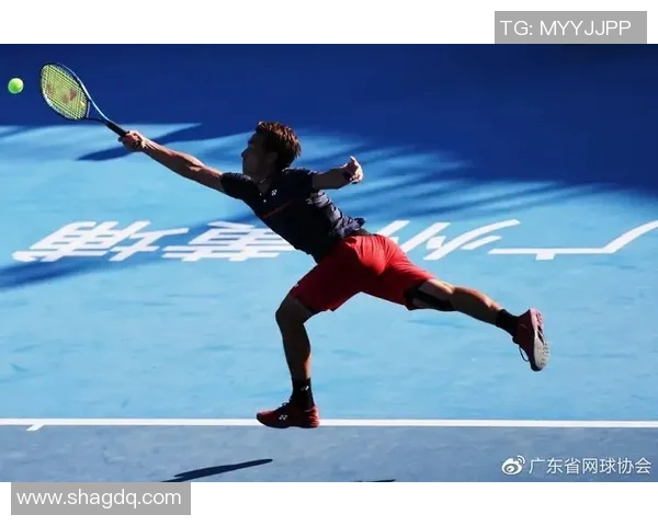 深度对话：杨娜如何在网球世界中追寻梦想与挑战自我