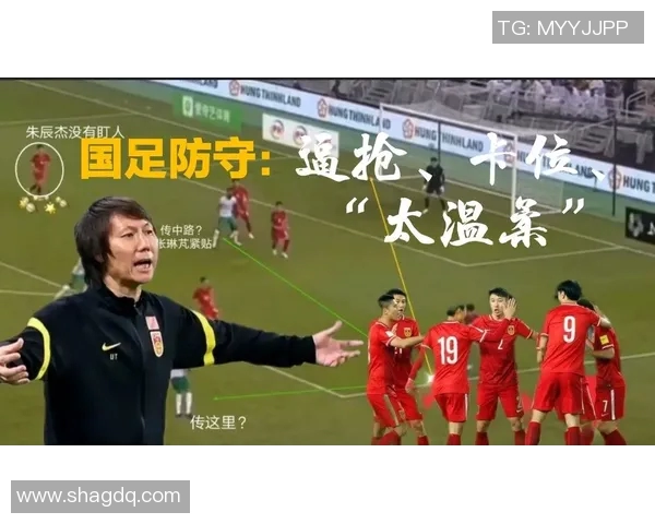 杭州乒乓球队防反战术解析与热点动态全面解读